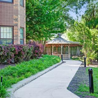 A peaceful outdoor scene with a walkway leading to a gazebo surrounded by greenery.