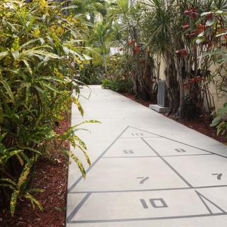 A shuffleboard court lined with tropical plants offers a peaceful outdoor setting for gameplay.