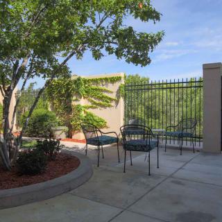A serene outdoor patio area with chairs and a table surrounded by greenery.