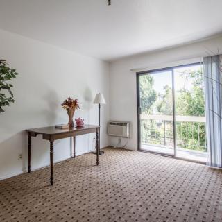 A bright, empty room with a table and potted plant near a large sliding window.