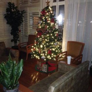 A cozy living room adorned with a beautifully decorated Christmas tree, glowing with lights and surrounded by comfortable seating.