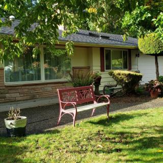 A cozy house with a red bench in the sunlit yard, surrounded by trees and greenery.