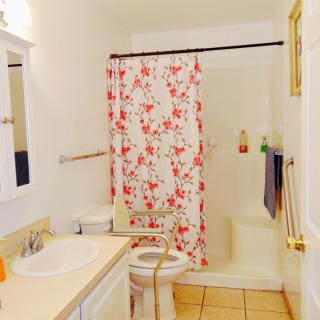 A bright bathroom featuring a floral shower curtain and neatly arranged fixtures.