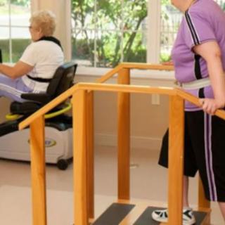 Two individuals engaging in physical therapy exercises using specialized equipment indoors.
