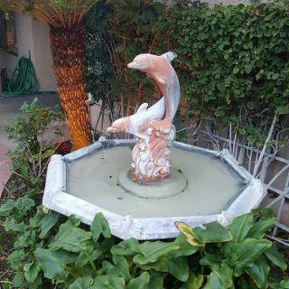 A garden fountain featuring a dolphin sculpture surrounded by lush greenery.