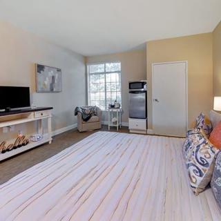 A modern bedroom with a TV, comfortable bed, and stylish decor.
