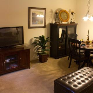 A cozy living room with a dining area, featuring a television, potted plant, and decorative elements.