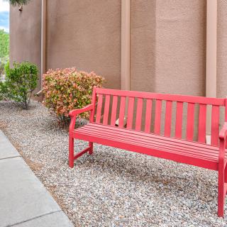 A vibrant red bench sits beside a sidewalk surrounded by small bushes.