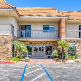 A hotel entrance with palm trees and a parking lot.