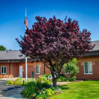 A vibrant tree stands in front of a brick building with a flagpole nearby.