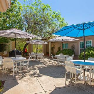 A sunny outdoor patio with tables, chairs, and umbrellas surrounded by trees.