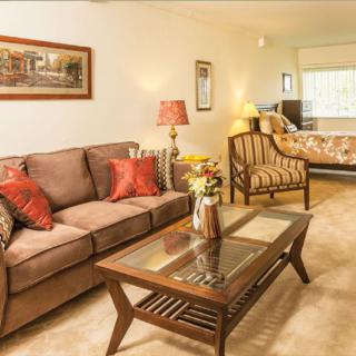 A cozy living room featuring a comfortable sofa, a wooden coffee table, and elegant decor.