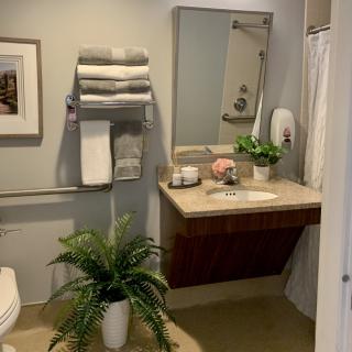 A neatly organized bathroom with a sink, mirror, and decorative elements like plants and towels.