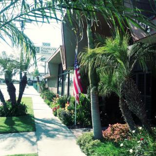 A sunny residential street featuring palm trees, a well-kept lawn, and an American flag.