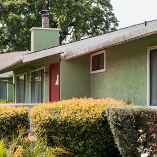 A green residential house with a red door and surrounding bushes.
