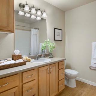 A modern bathroom featuring a stylish vanity with wooden cabinets, contemporary lighting, and clean decor.