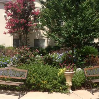 A lush garden area with benches, surrounded by various plants, trees, and colorful flowers.