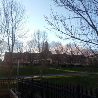 A serene view of a building surrounded by trees and an open park under a clear sky.