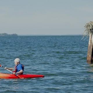 A person kayaking on the water near a wooden post with a bird's nest.
