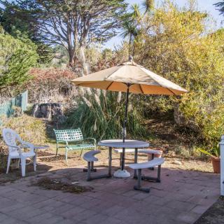 A tranquil garden setting featuring outdoor seating with an umbrella, surrounded by trees and foliage.