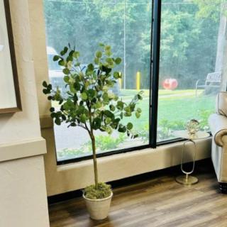 A potted plant sits by a large window, adding a touch of greenery to the room.