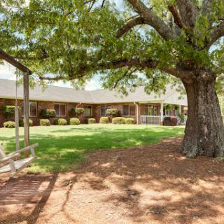 A serene outdoor space featuring a large tree providing shade over a grassy lawn and adjacent building.