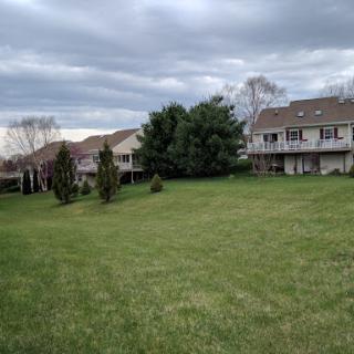 A tranquil suburban landscape featuring well-kept houses surrounded by lush green grass and cloudy skies.