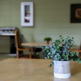 A cozy cafe setting with a decorative plant on a wooden table.