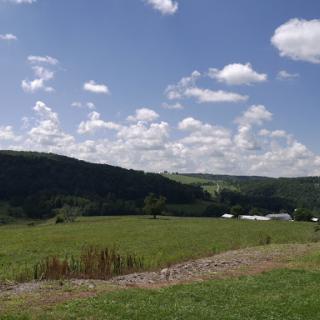 A serene landscape featuring lush greenery and a bright blue sky dotted with fluffy clouds.