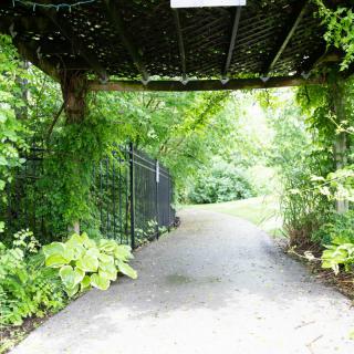 A peaceful garden pathway lined with lush greenery and an overhead archway.