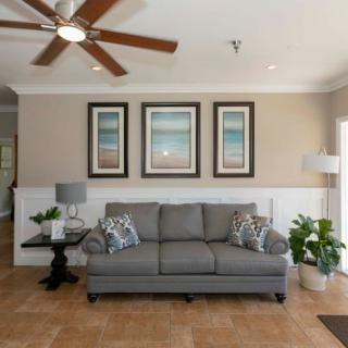A cozy living room with a gray sofa, decorative pillows, framed artwork, and indoor plants.