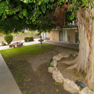 Courtyard with a large tree, bench, and grassy area beside a building.