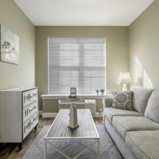 A minimalist living room featuring a sofa, coffee table, and window blinds.