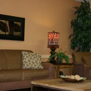 A cozy living room with a sofa, decorative lamp, and indoor plants.