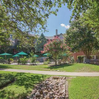 A serene garden with lush greenery and a pathway under bright sunlight.