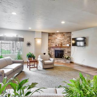 A cozy living room with a stone fireplace, comfortable seating, and houseplants.