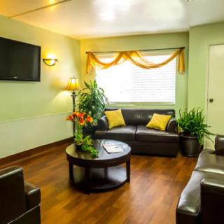 A cozy living room with modern decor, featuring a leather sofa, a wall-mounted television, and vibrant indoor plants.