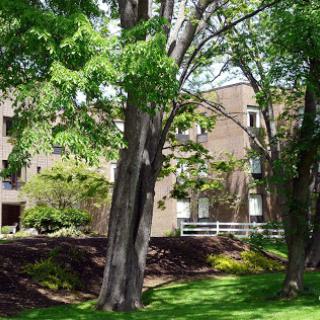 A serene residential area showcasing lush greenery and a brick building.
