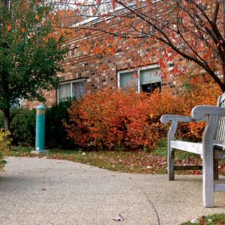 A serene pathway lined with autumn foliage and a wooden bench.