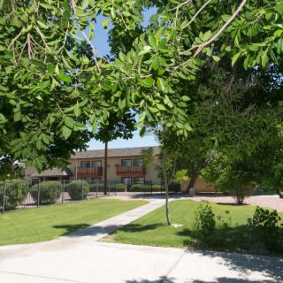 A pathway leading through a grassy area surrounded by trees, with a building in the background on a sunny day.