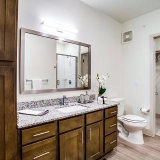 A contemporary bathroom featuring wooden cabinetry, a large mirror, and dual sinks.