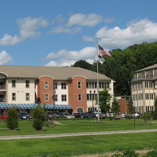 A scenic view of residential buildings surrounded by greenery, with a flag waving under a partly cloudy sky.
