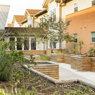 A beautifully landscaped garden with raised planter beds beside a modern residential building.
