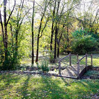 A serene view of a park with lush trees and a charming wooden bridge.
