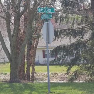 A street sign at the intersection, surrounded by trees and greenery.