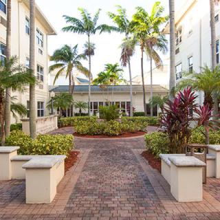 A beautifully landscaped courtyard with palm trees and a brick walkway.