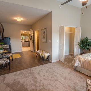 A modern bedroom with stylish decor and a cozy carpeted floor.