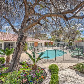 A landscaped backyard with a swimming pool, surrounded by greenery and a large tree.