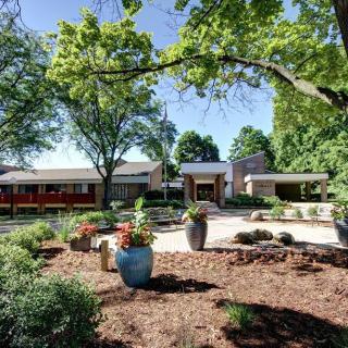 A beautifully landscaped garden with large potted plants and a modern house in the background.