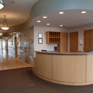 A modern reception area with a curved wooden front desk and ceiling lights.